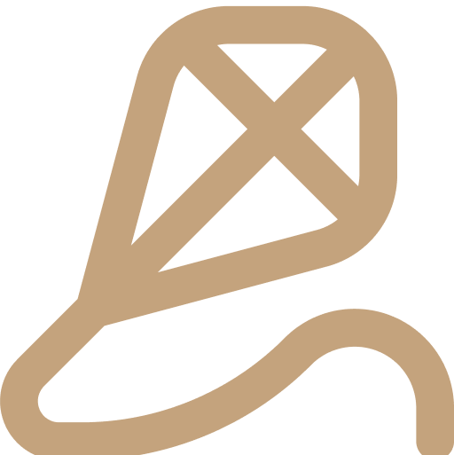 Kite icon graphic
