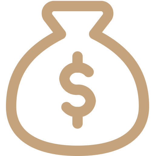 Cash bag icon for payment options